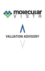 Molecular Vista Valuation Advisory