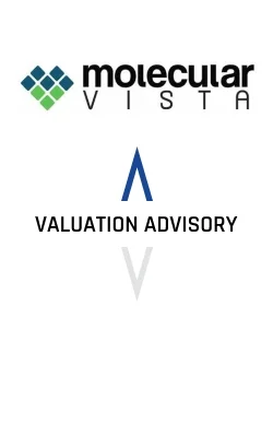 Molecular Vista Valuation Advisory