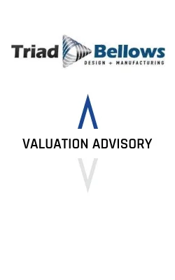 Triad Bellows Valuation Advisory
