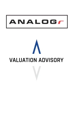 Analogr LLC Valuation Advisory